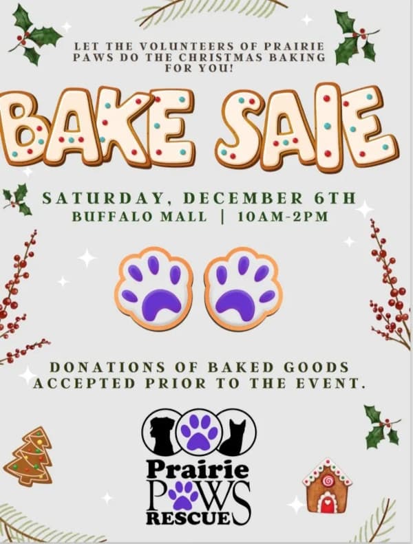 Jamestown Holiday Bake Sale Raises Funds for Local Pets