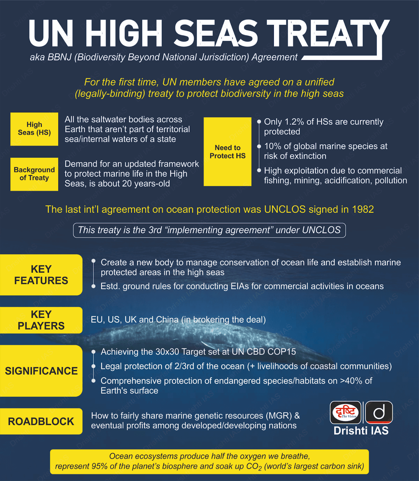UN Prepares Final Steps to Implement Historic High-Seas Biodiversity Treaty