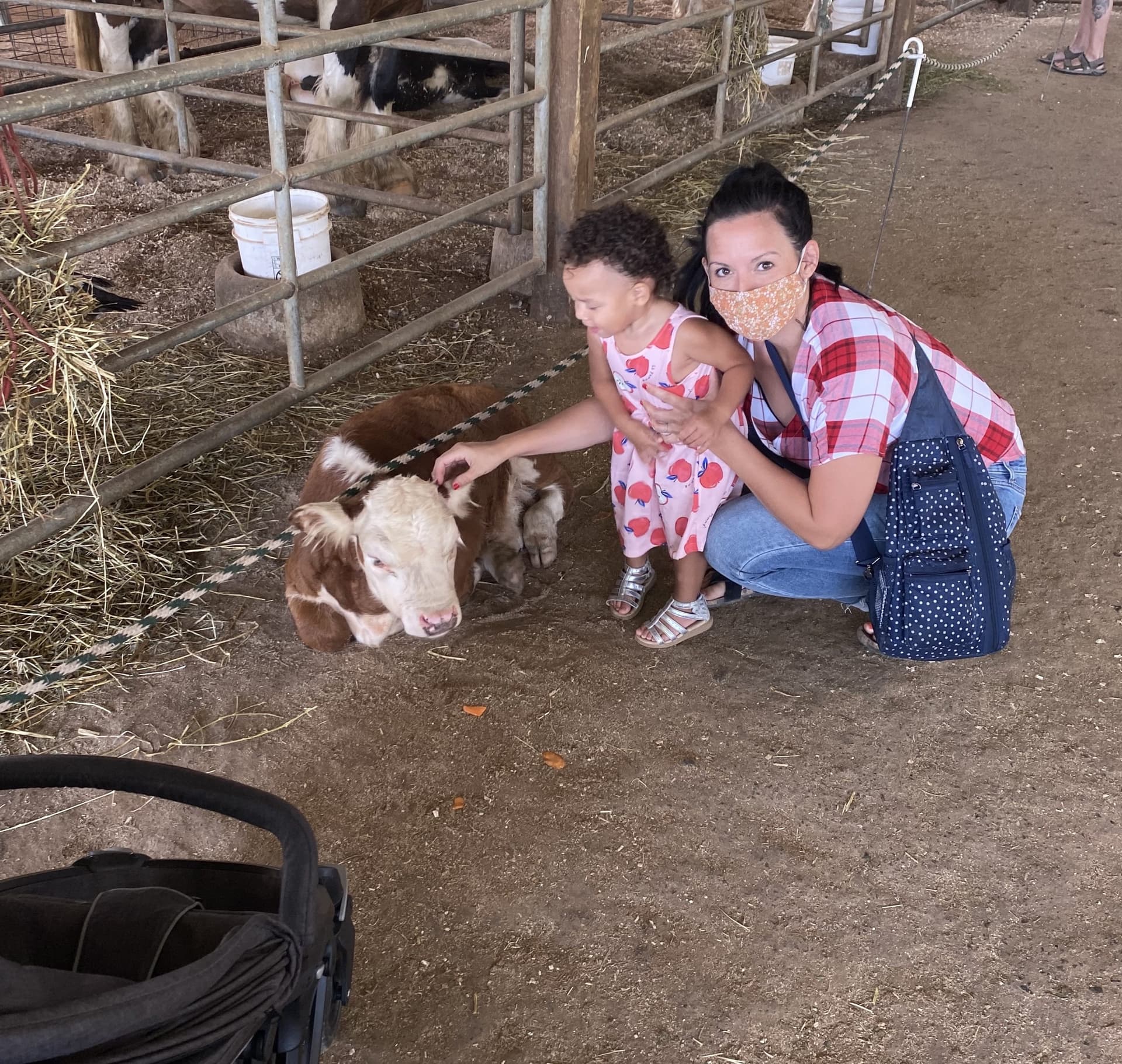 Holmes County Attractions for Families: Museums, Farms, Trails, Wineries