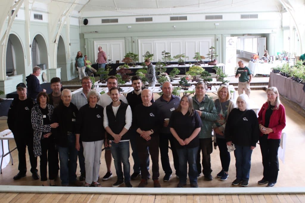 Midland and Redditch Bonsai Societies Release Free February 2026 Newsletter PDF