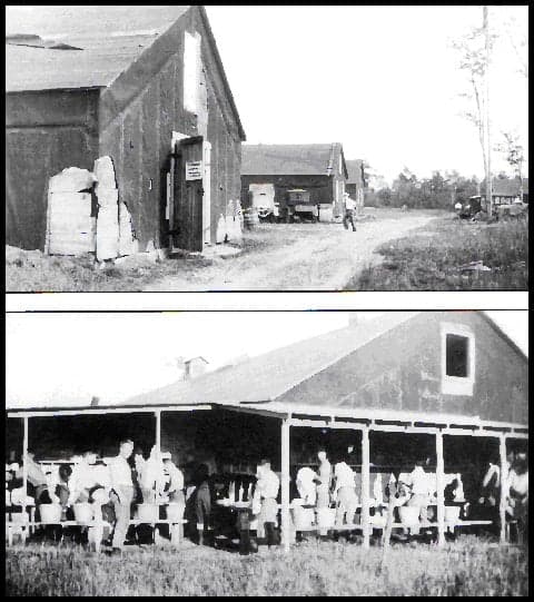Iron County logging camp became a University of Michigan classroom