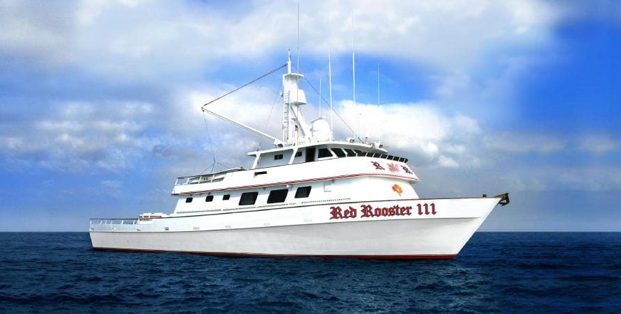 Night bluefin bite keeps Red Rooster III busy off Southern California