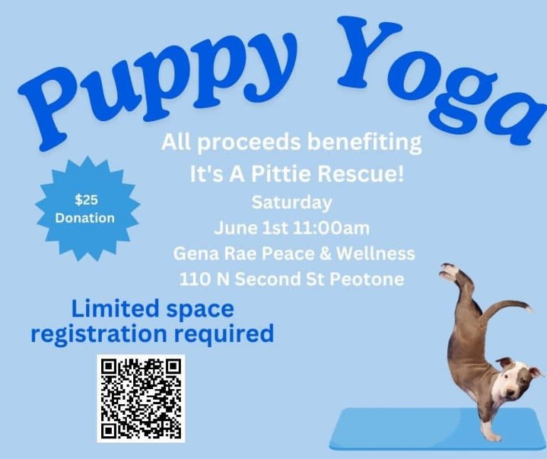 Port Moody puppy yoga raises funds for Snow Dog Society