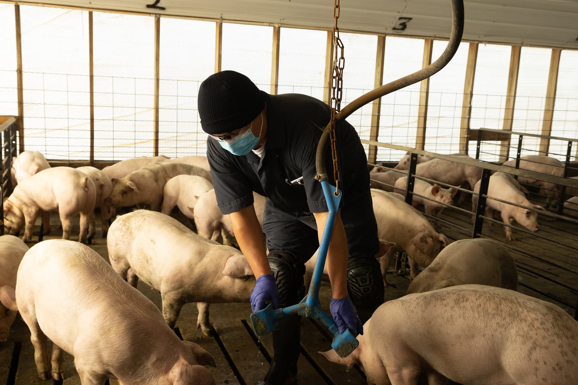 Seaboard Foods plant anchors Texas County economy, shapes local markets