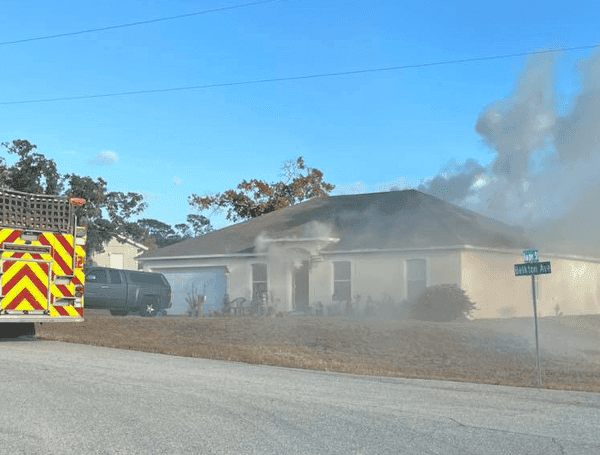 Spring Hill house fire, firefighters rescue dog and two birds