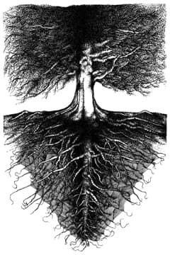 Jacksonville's Free Time and Temperature Line Gets New Number After Bank Merger