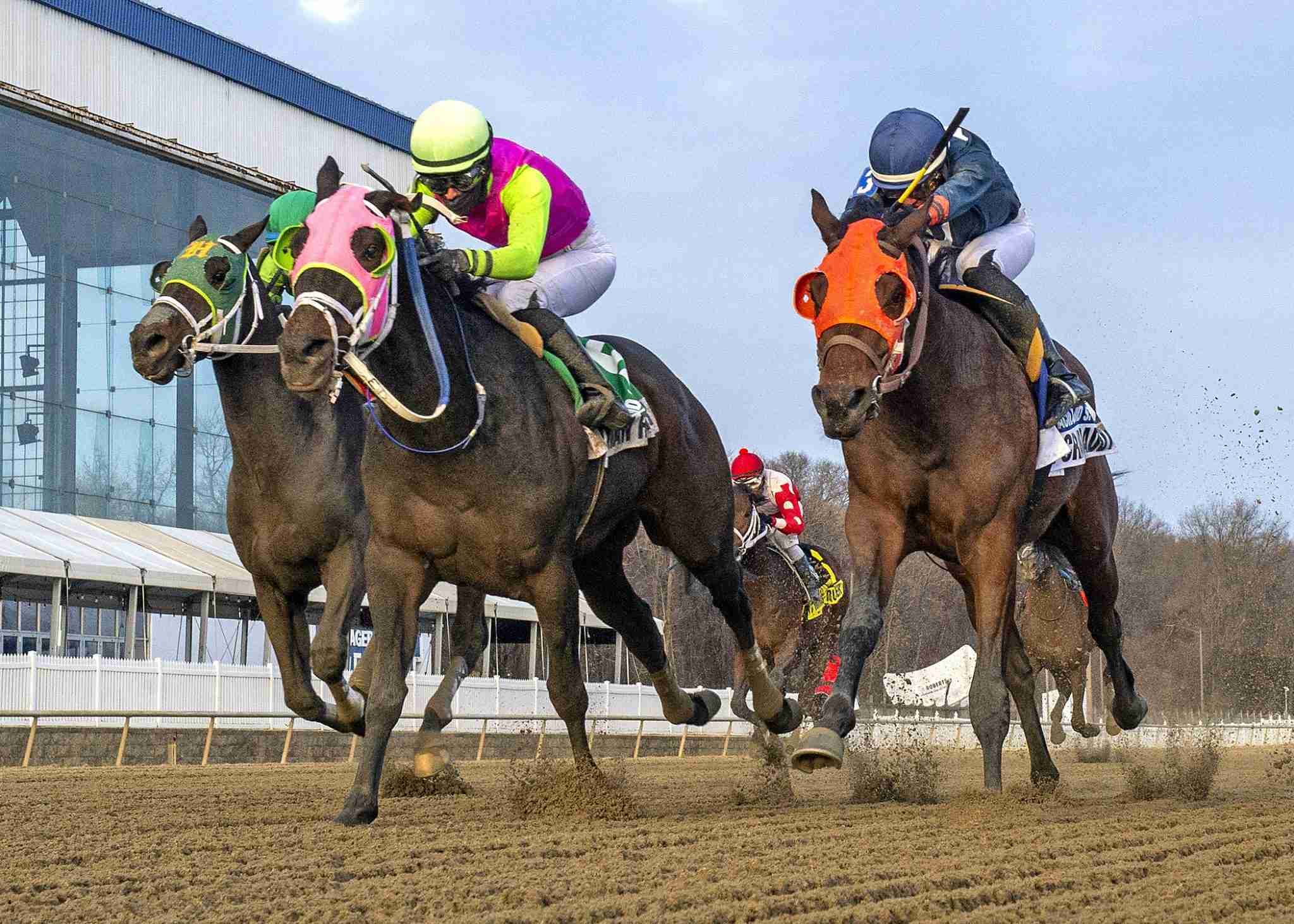 Barbadian Runner returns to Laurel Park for stakes path preview