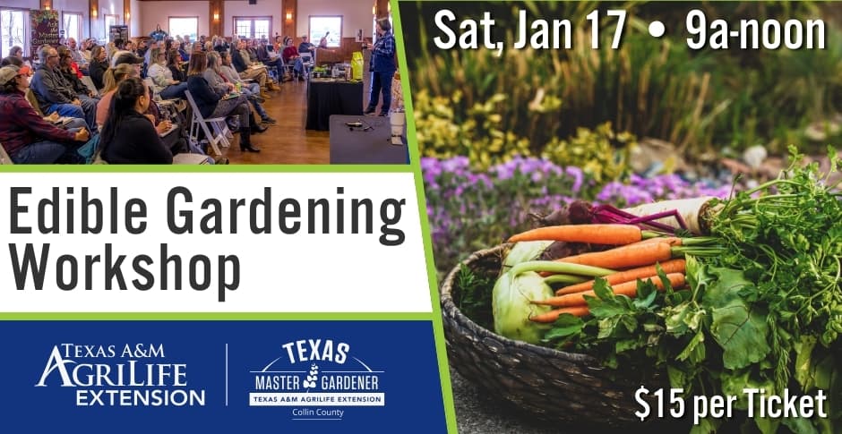 Collin County Master Gardeners Offer Edible Gardening 101 Workshop