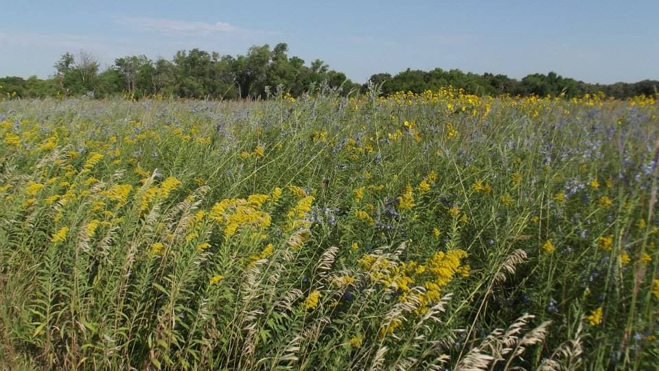 Buena Vista County Conservation Sites Along Glacial Trail Boost Year-Round Recreation