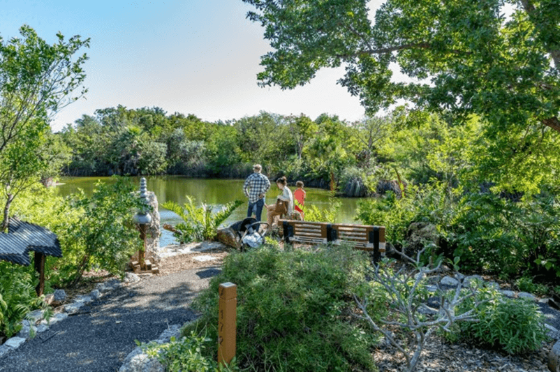 Monroe County Reminds Waterfront Owners of Mangrove Rules