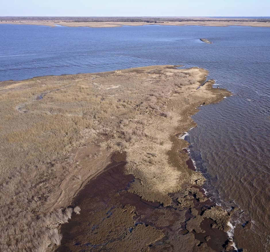 Cumberland County's Maurice River and Heislerville WMA: Access, Safety and Recreation Guide