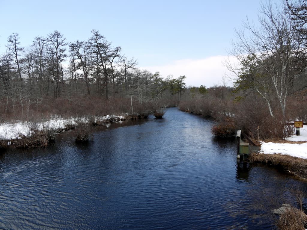 Suffolk County Parks Offer Winter Trails Across County Preserves