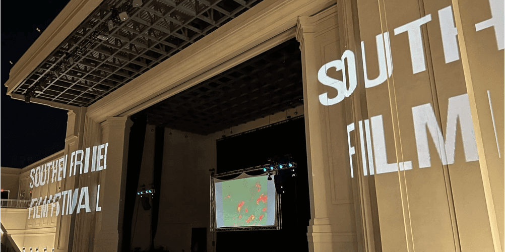 Huntsville's Southern Fried Film Festival Wins $20,000 Grant for Travel, Q&A Panels