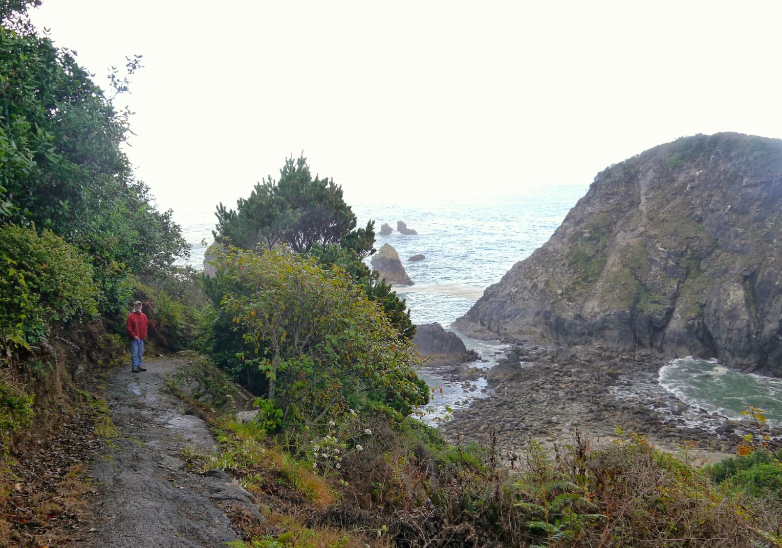 Five Lesser-Known Day Hikes and Coastal Walks Near Eureka, Arcata, McKinleyville, Trinidad
