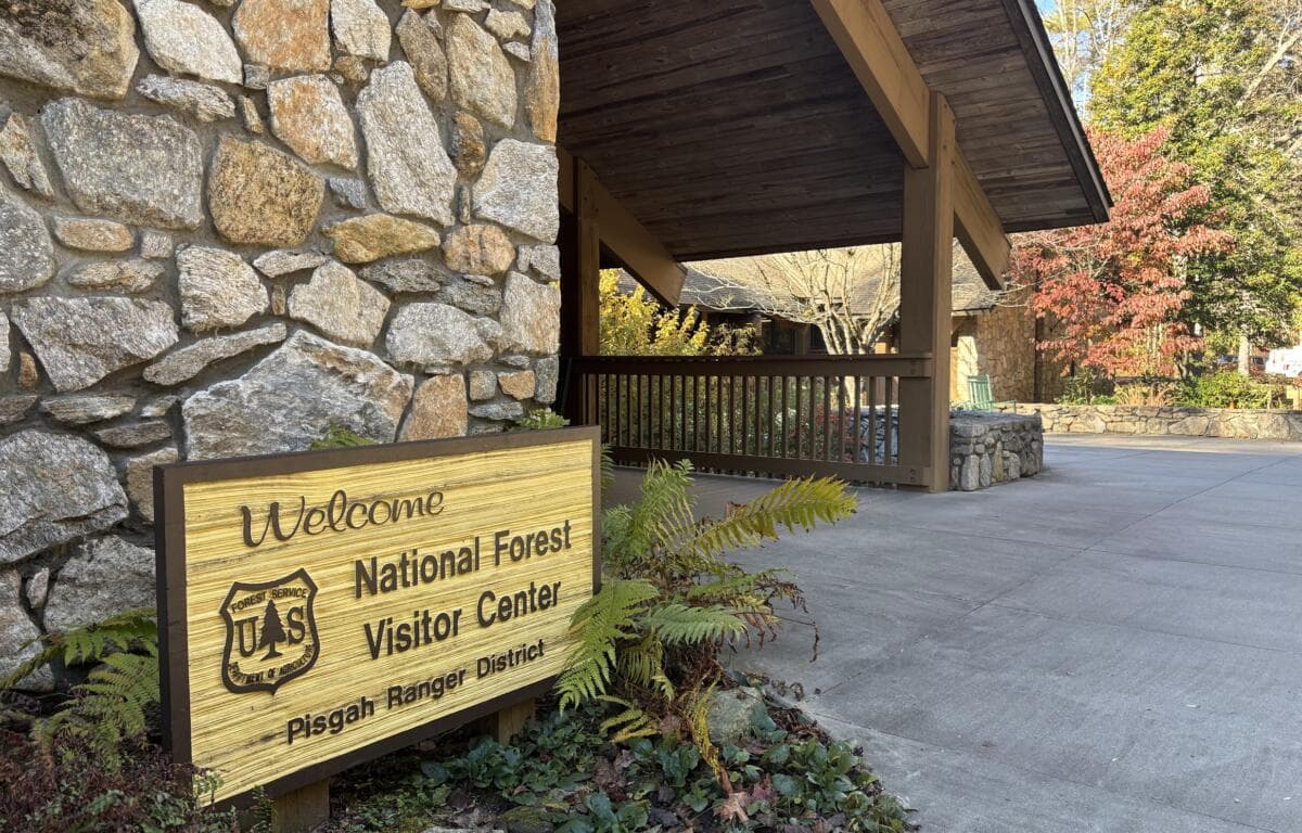 Forest Service Halts Logging, Preserves Pisgah National Forest Tract