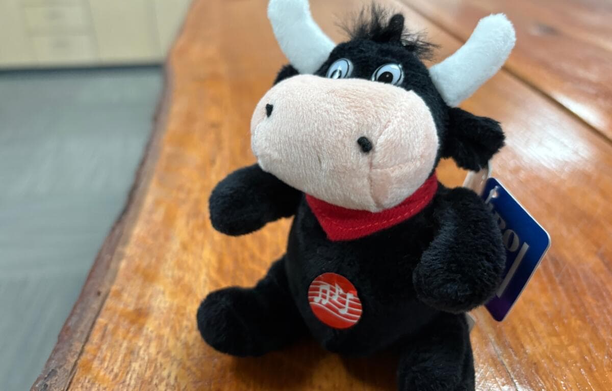 Stuffed Animal Checkups Teach Kids Veterinary Care and Health