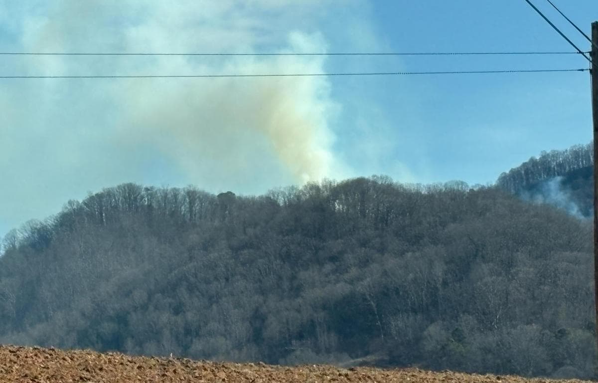 8-Acre Wildfire in Leicester, Buncombe County at 0% Containment