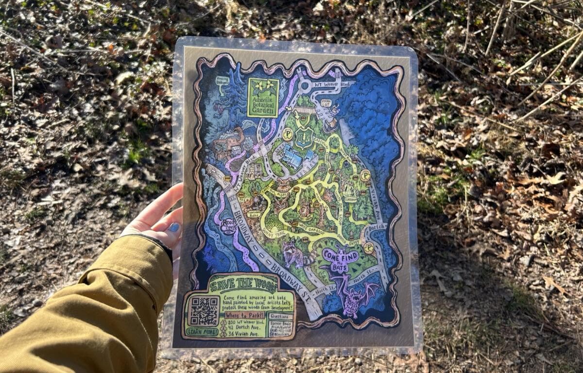 Save the Woods Fundraiser Protects UNCA-Adjacent Urban Forest