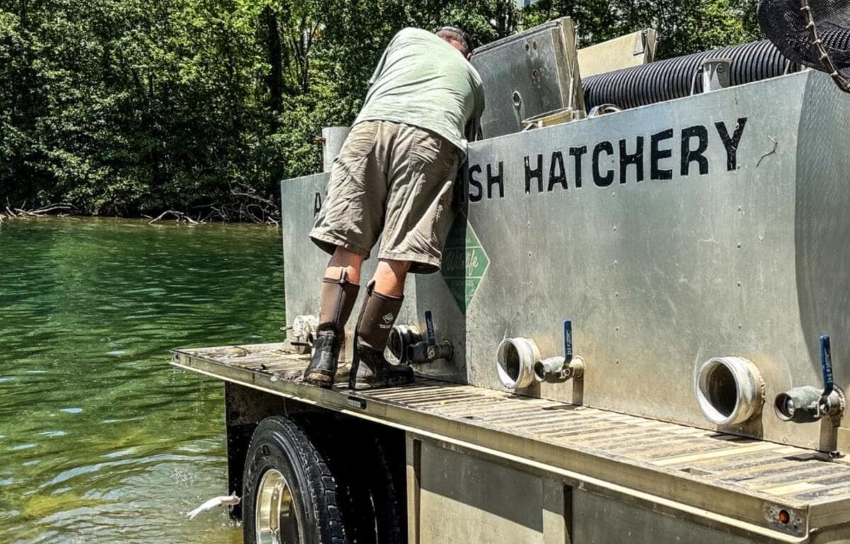 Lake Julian stocked with 1,333 catfish ahead of Memorial Day weekend