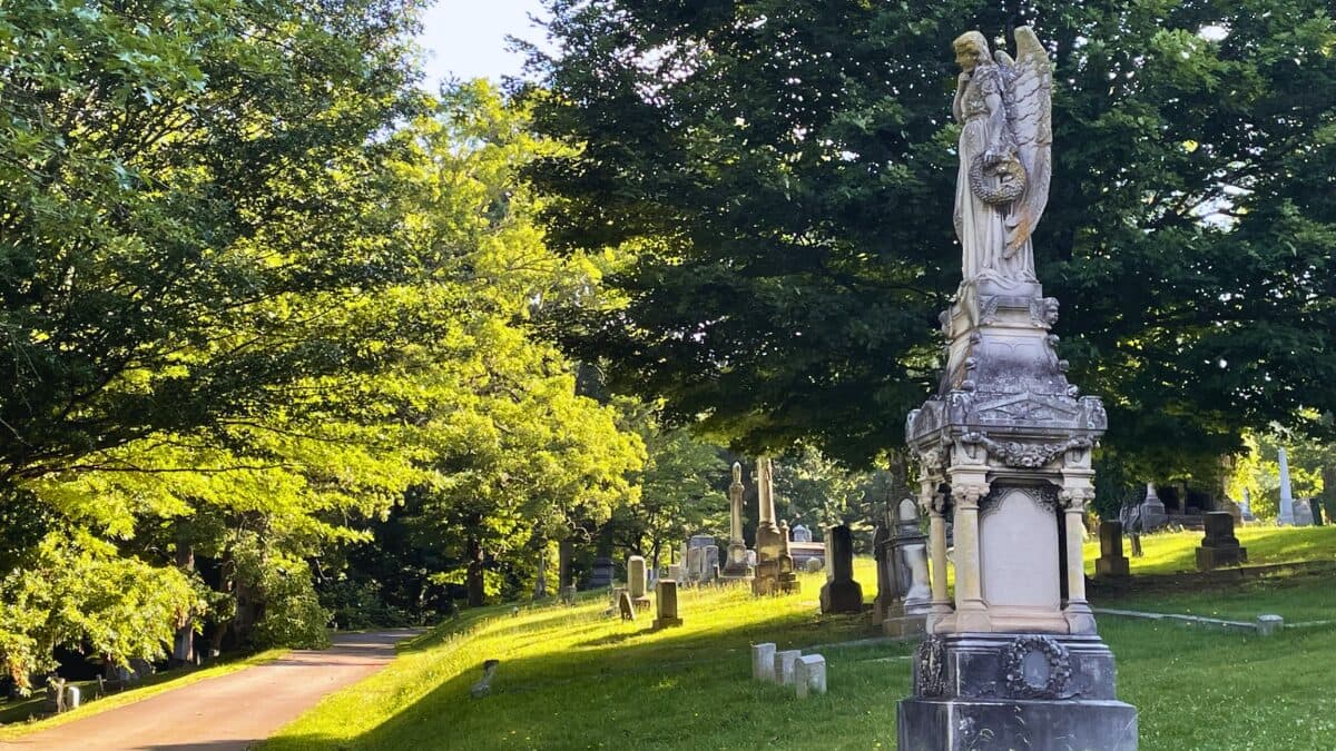 Riverside Cemetery angel carved from leftover Biltmore stone, local history reveals
