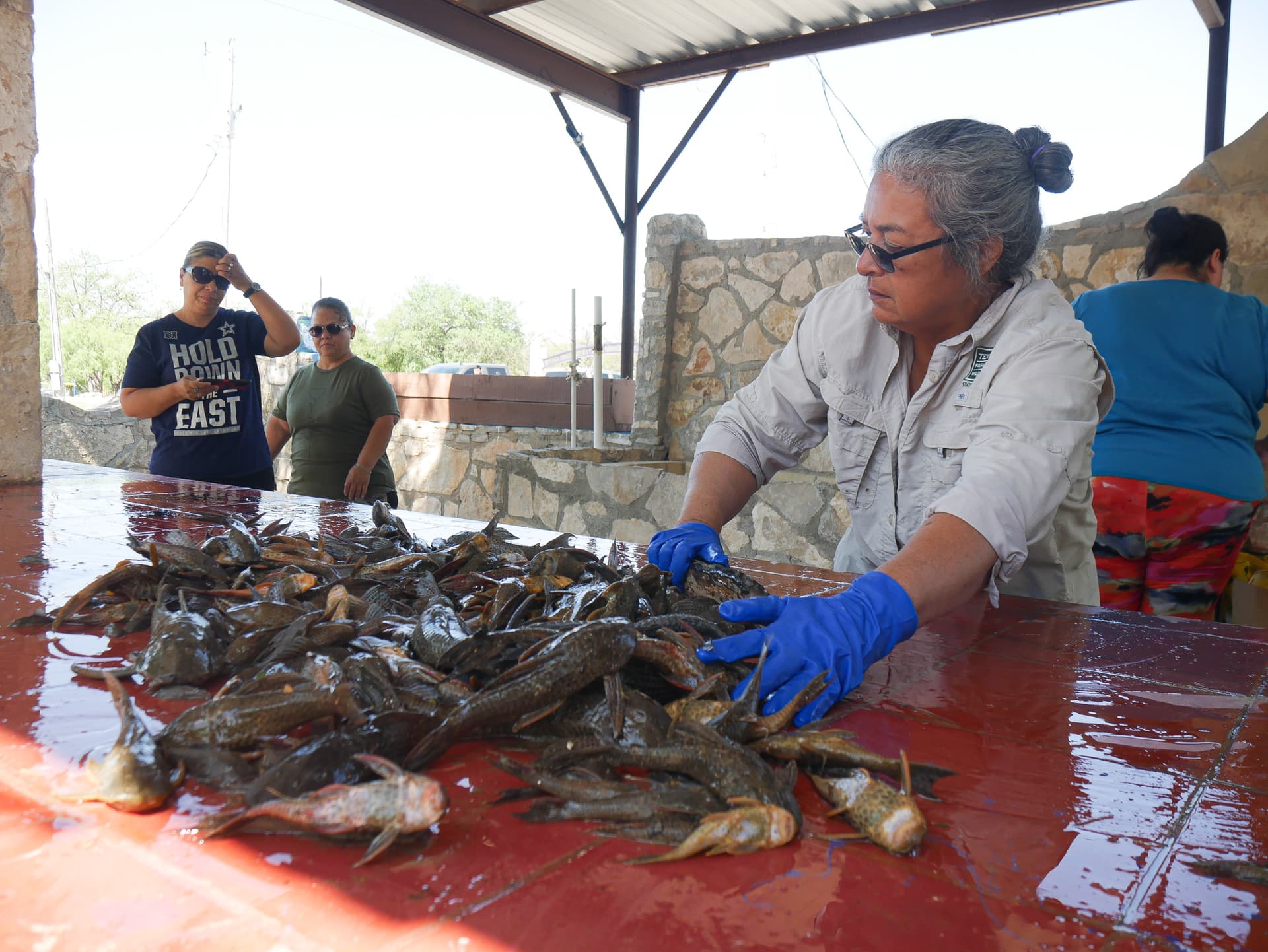 Families join 42-hour tournament to remove invasive catfish from San Felipe Creek
