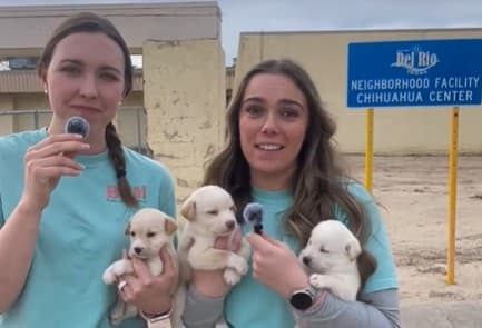 Free Spay-and-Neuter Clinic Open for Sign-ups in Del Rio This Month