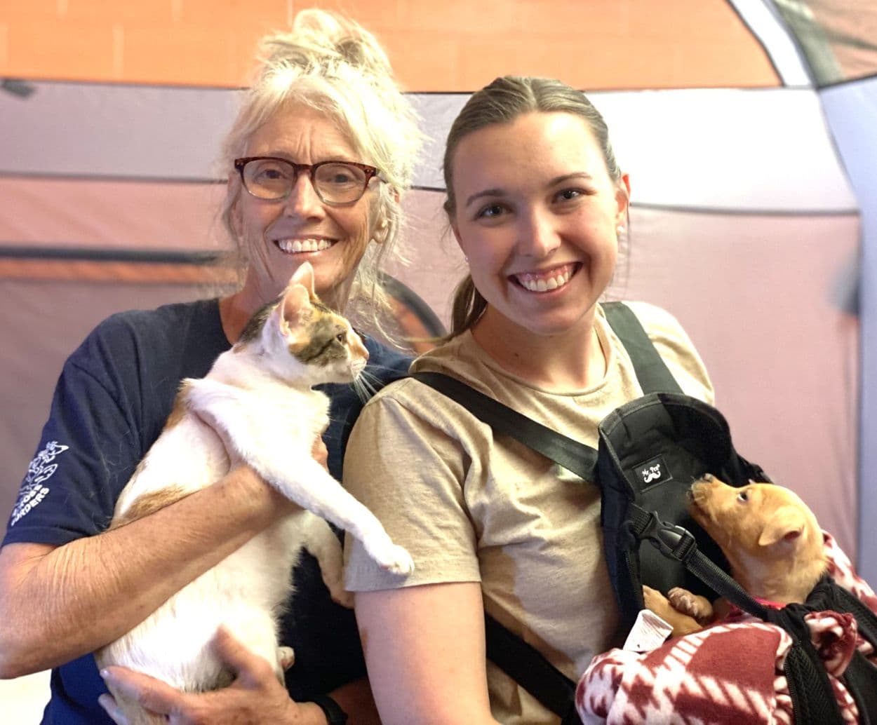 Del Rio Free Spay and Neuter Clinic Serves Over 500 Pets