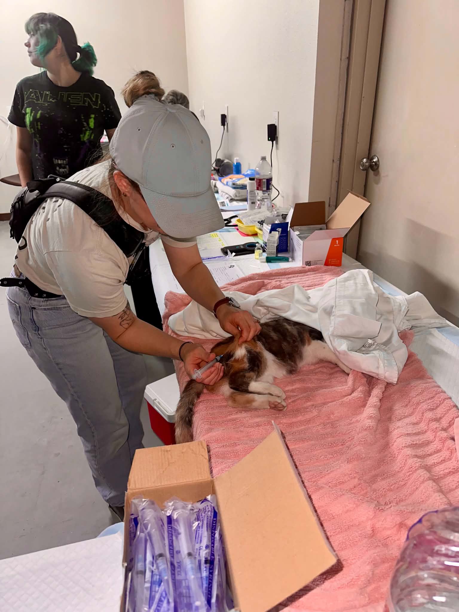 Del Rio animal rescue coalition opens long-awaited low-cost clinic