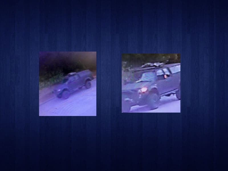 Forsyth County deputies seek black Ford F-150 in hit-and-run