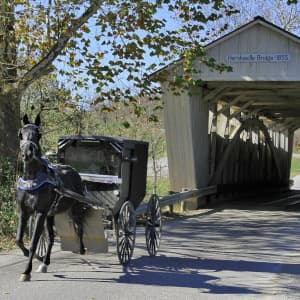 Adams County Amish Country drives tourism growth and local spending