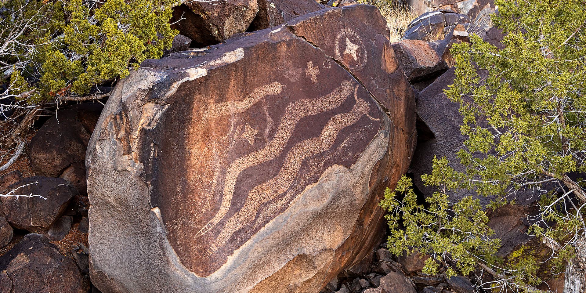 White Rock Canyon hike reveals geology, springs and petroglyphs