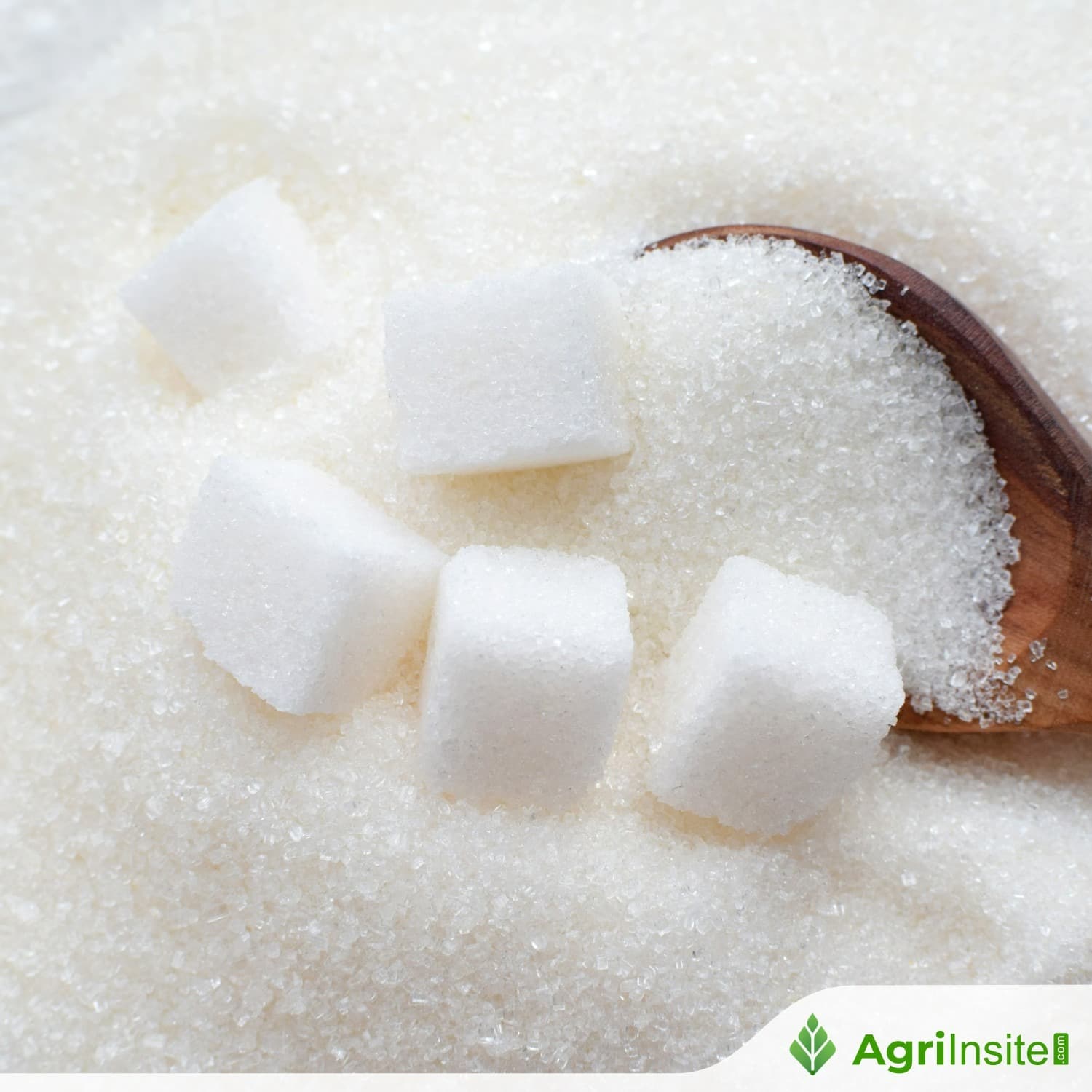 Rising ethanol demand tightens global sugar supply, India and Brazil shift cane