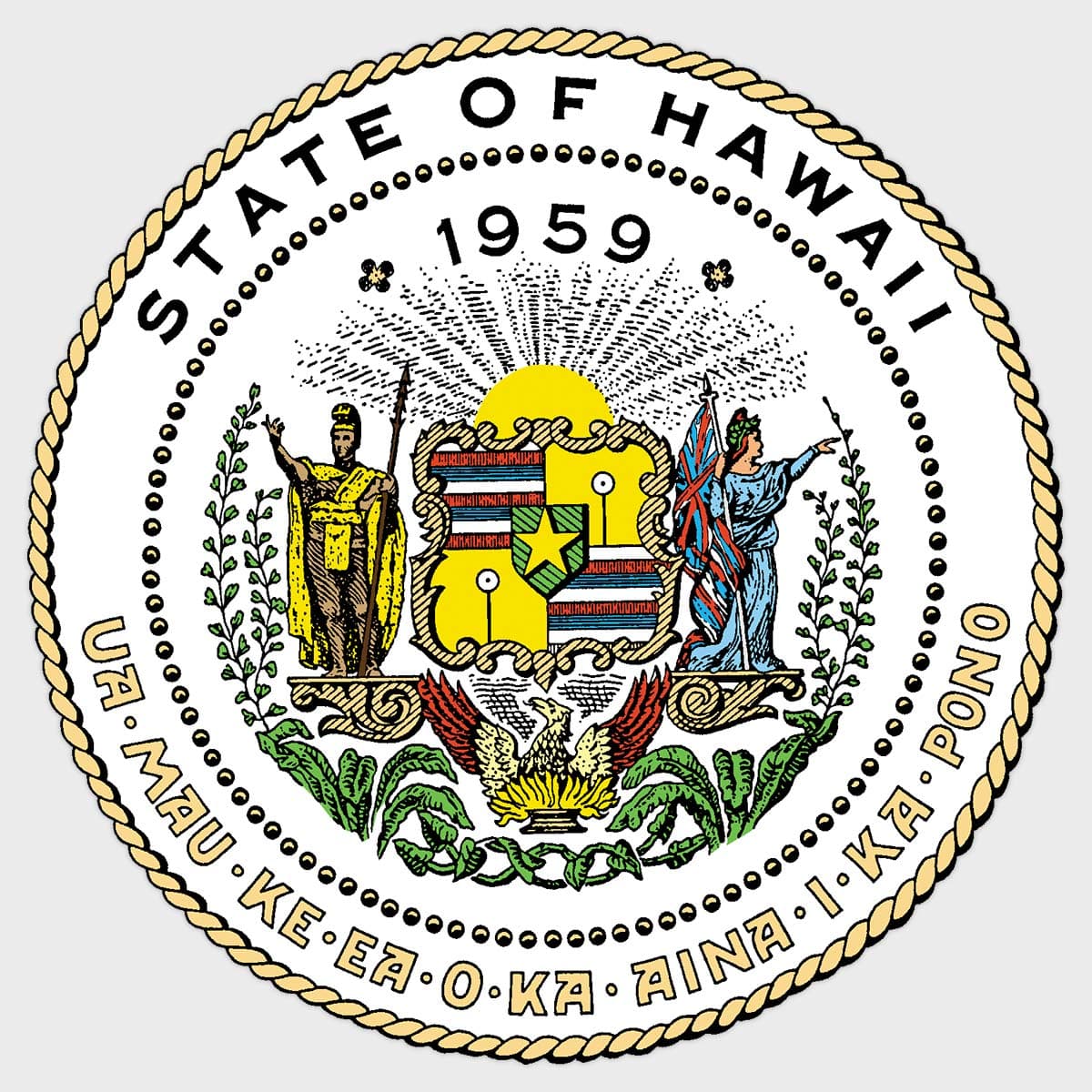Mattos Files for Kauai Council, County Announces Youth Clinic, Park Work