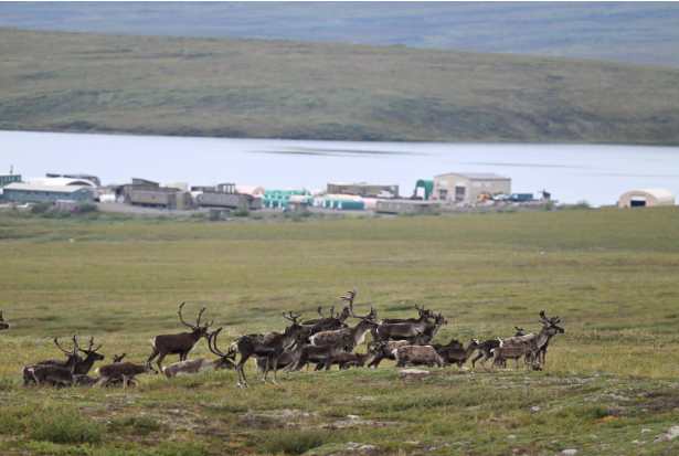 Toolik Field Station opens to public for Visitor's Day June 6