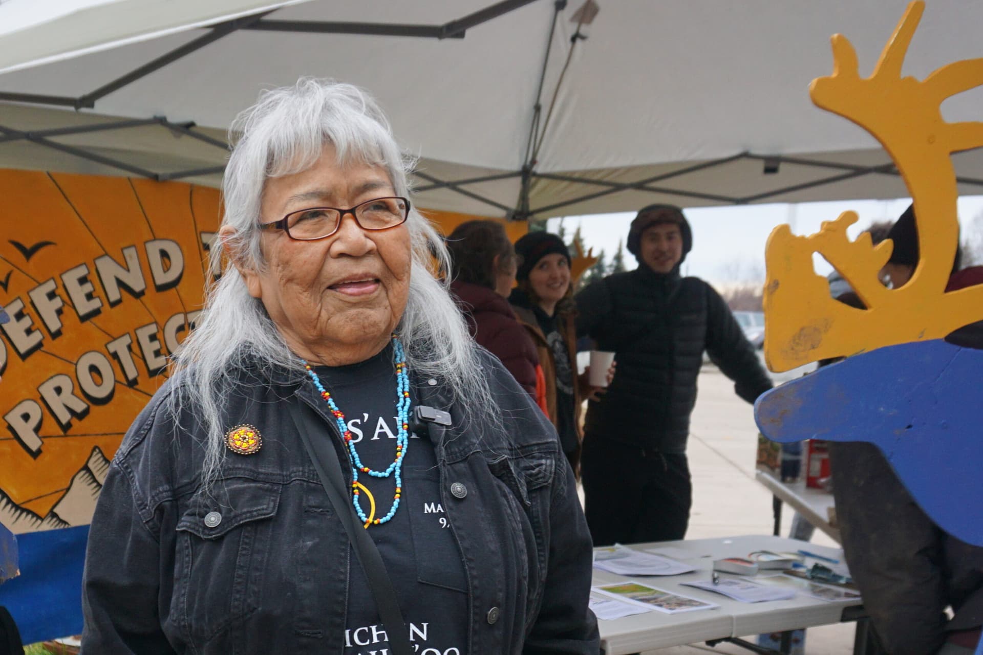 Environmental Groups, Gwich’in Committee Ask Court to Revive ANWR Lease Lawsuits