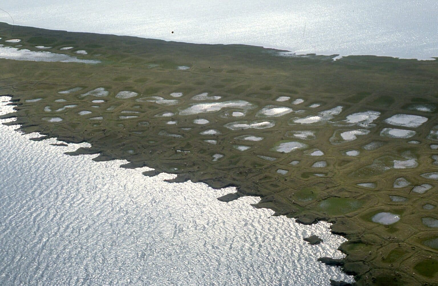 Federal government appeals ruling blocking Teshekpuk Lake lease sales