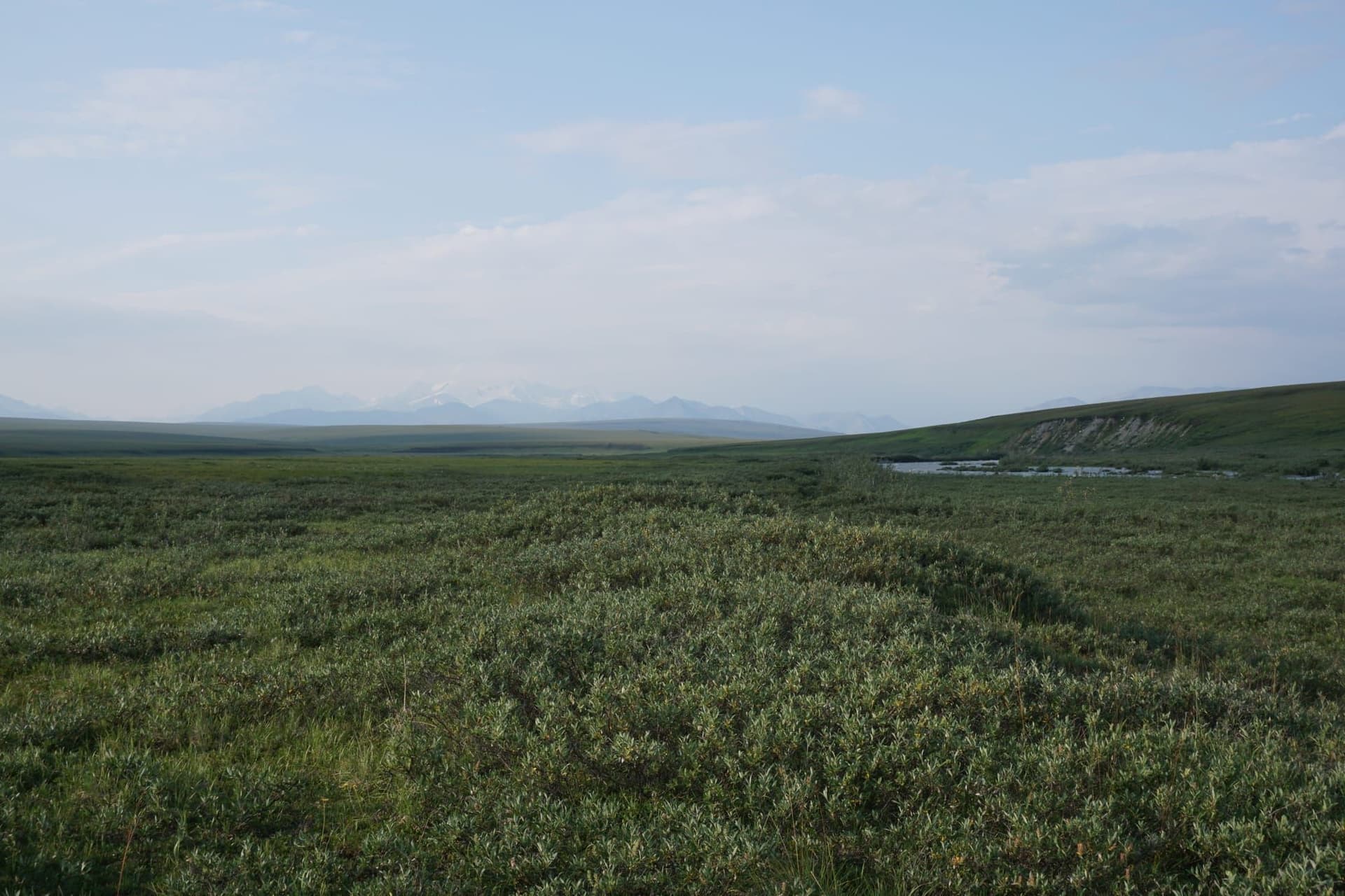 AIDEA eyes nearly $200 million for Arctic refuge oil exploration