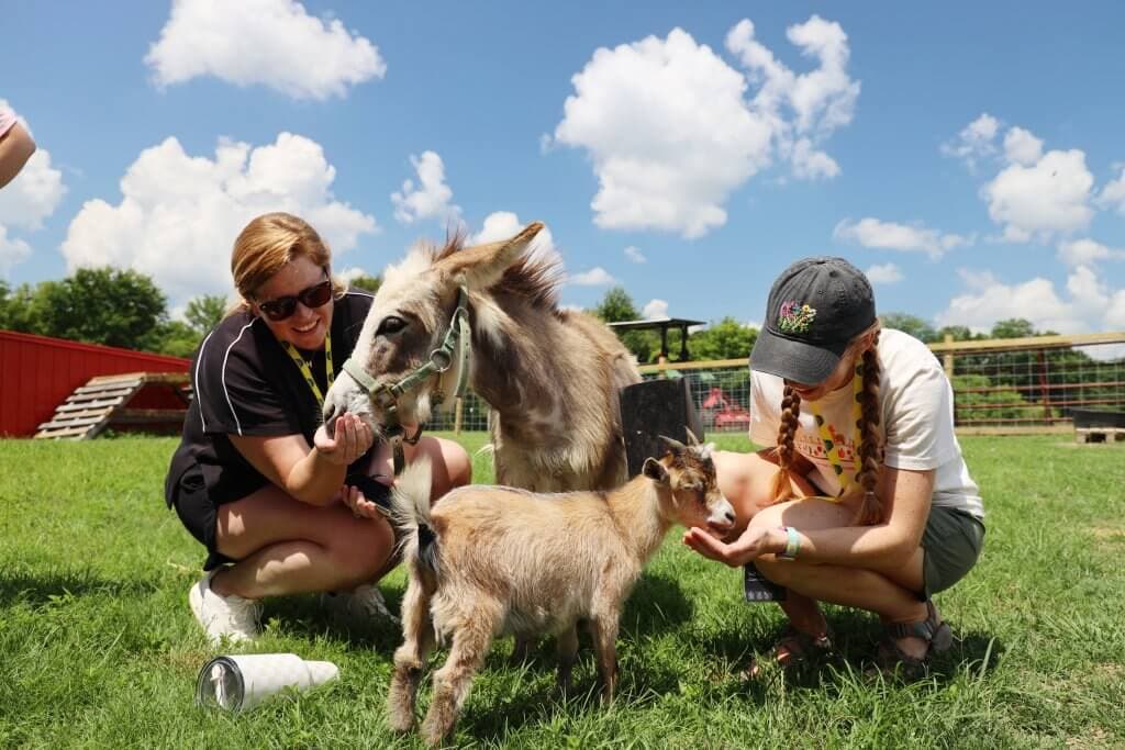 Alabama teachers learn agriculture lessons at Prattville institute
