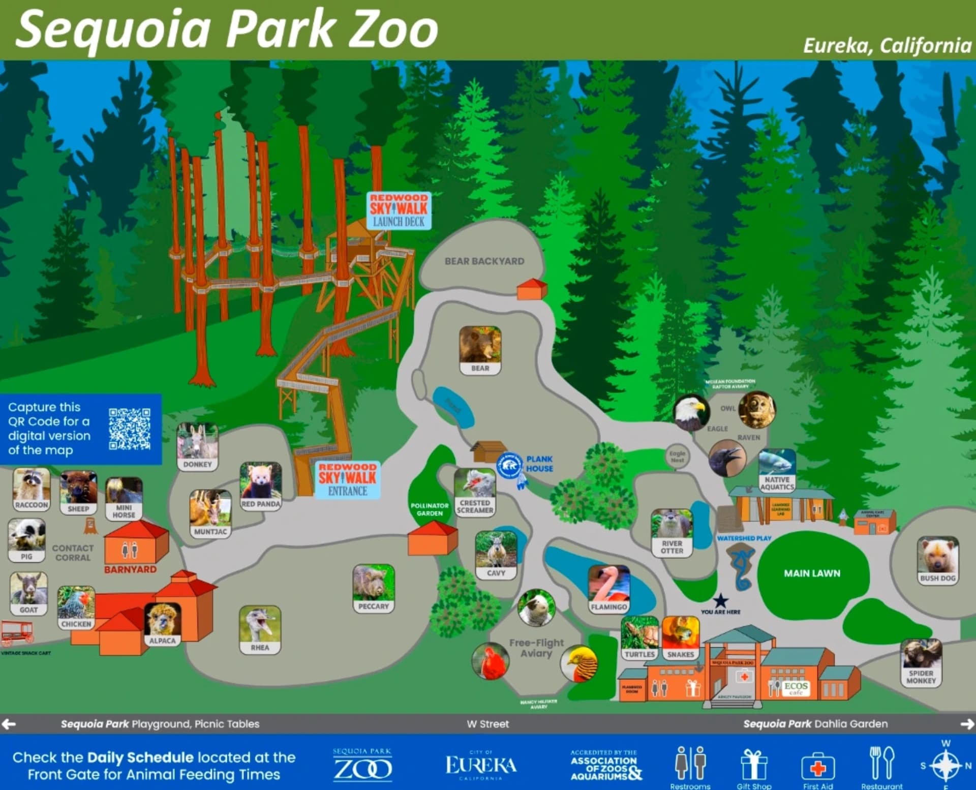 Eureka's Sequoia Park Zoo History, Operations and Acreage Discrepancies