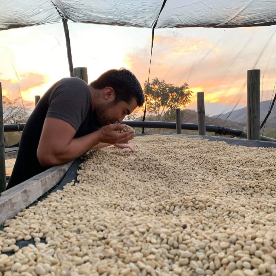 Nicaragua’s top microlots advance to Cup of Excellence auction