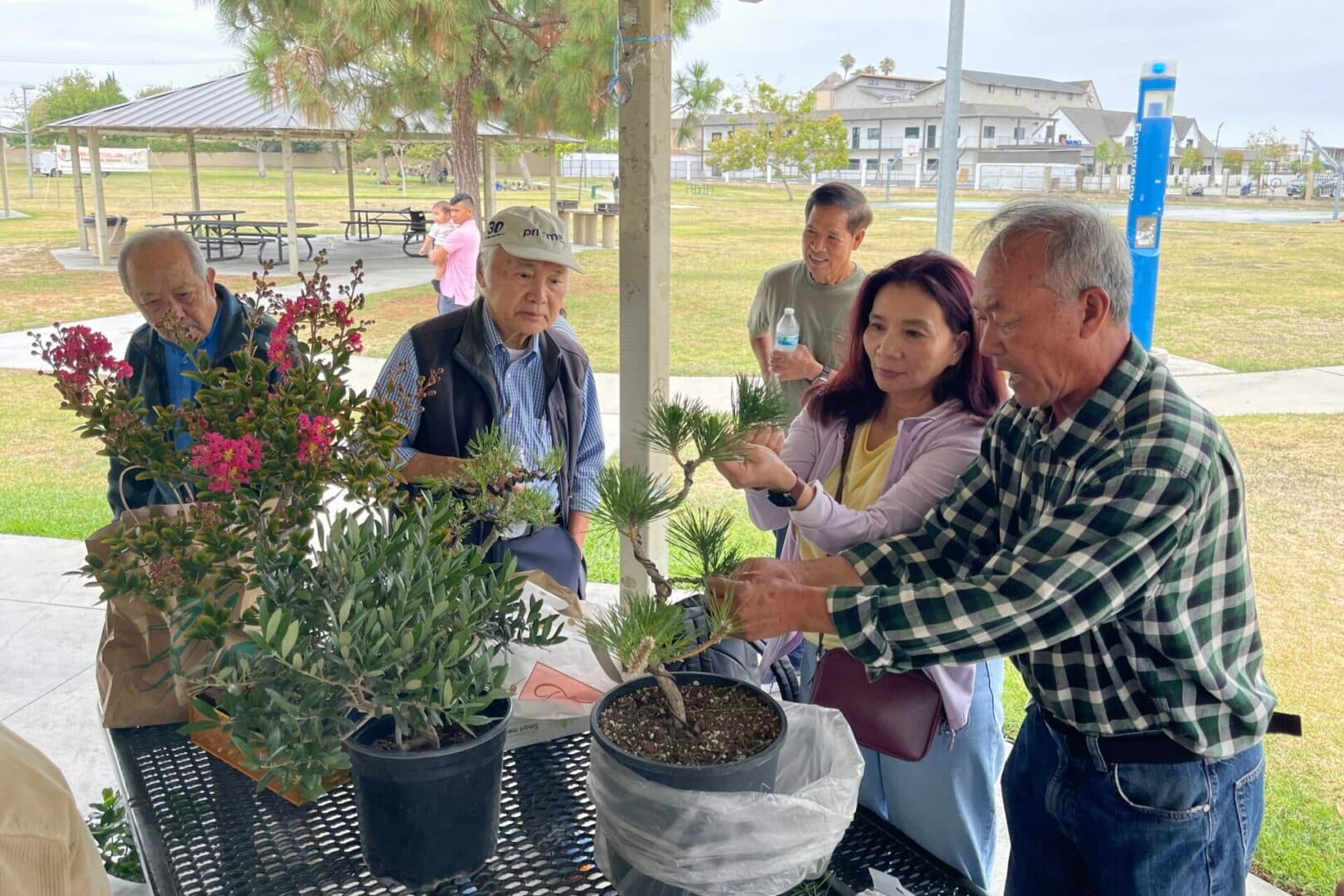 From Park Meetups to Nonprofit: Vietnamese Bonsai Community Thrives in Orange County