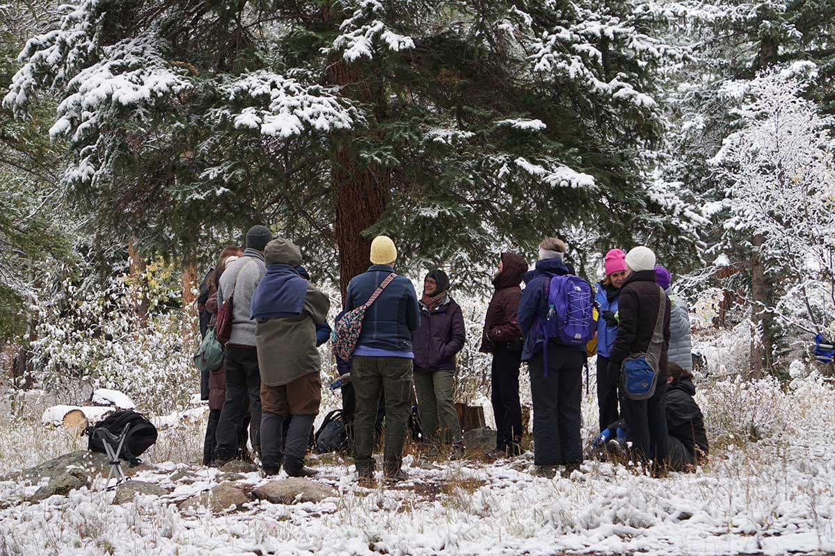 Los Alamos Launches Certified Forest Therapy Guide Training Program