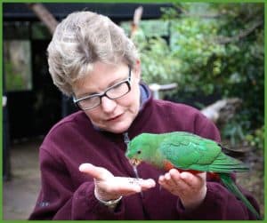 Parrot Behavior Consultant Pamela Clark Shares Expert Care Insights for Bird Owners