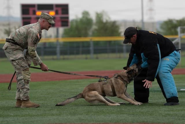 Indo-Pacific military dog teams compete in South Korea readiness drill