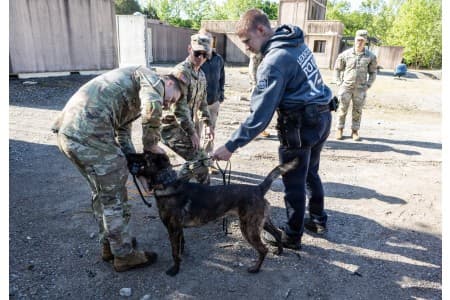 Fort Knox K-9 teams train for bomb, drug detection and vet care