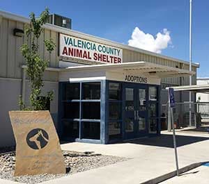 Valencia County Shelter Updates Online Roster of Dogs and Cats Available for Adoption