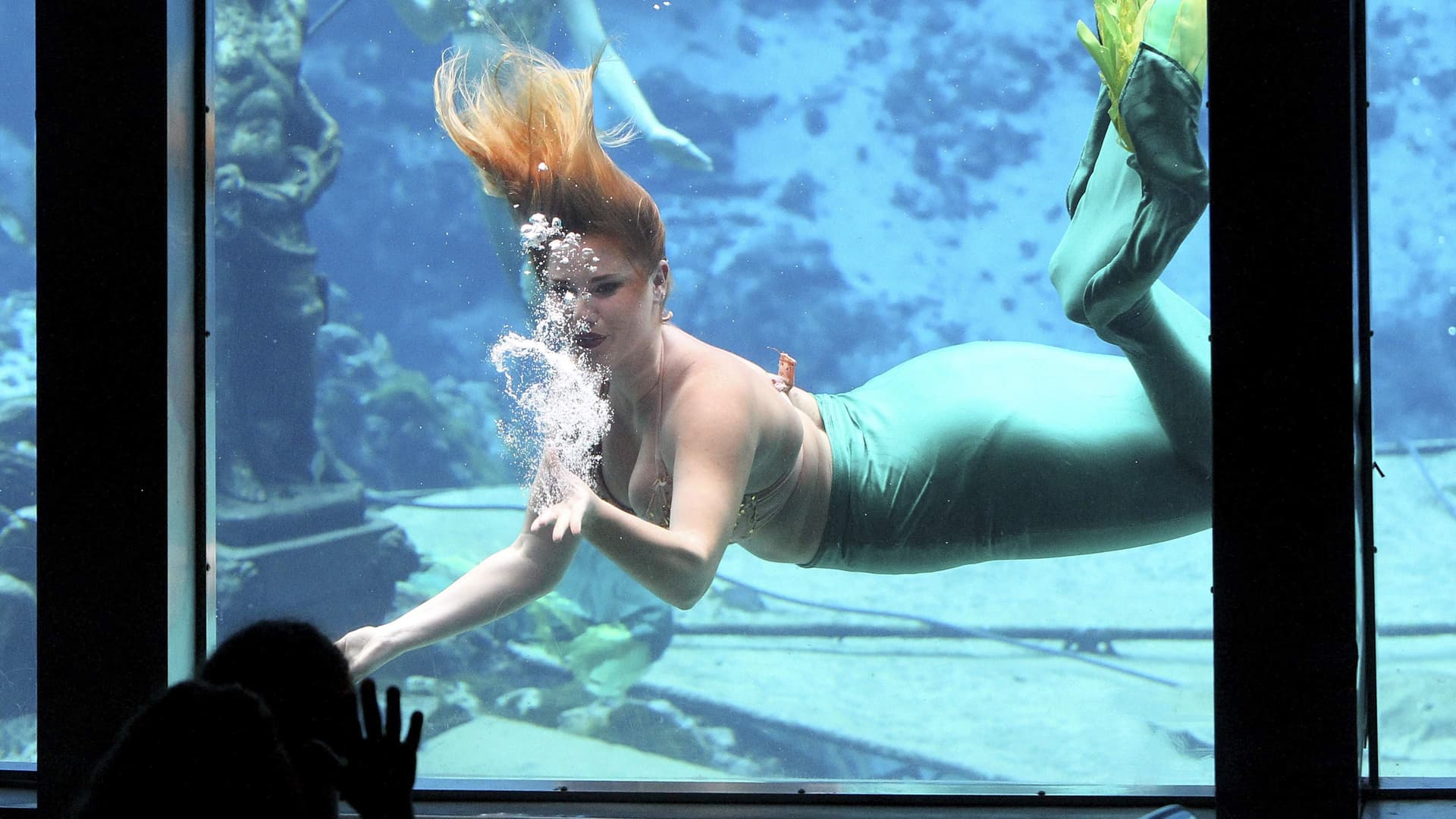 5 Outdoor Destinations Worth Exploring in Hernando County Year-Round