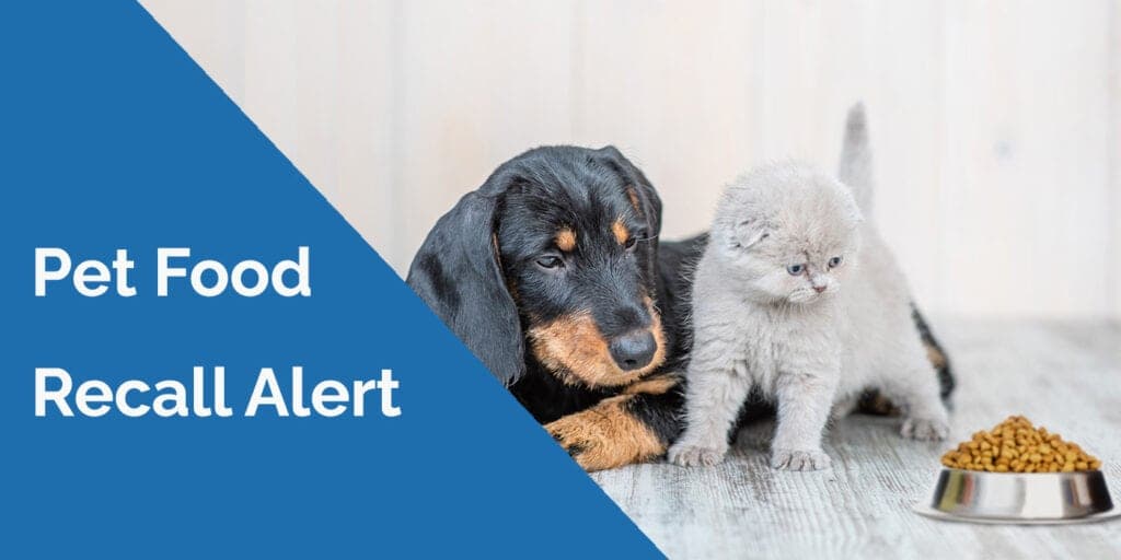 FDA Warns Not to Feed Eight Raaw Energy Lots, Pet Owners Urged