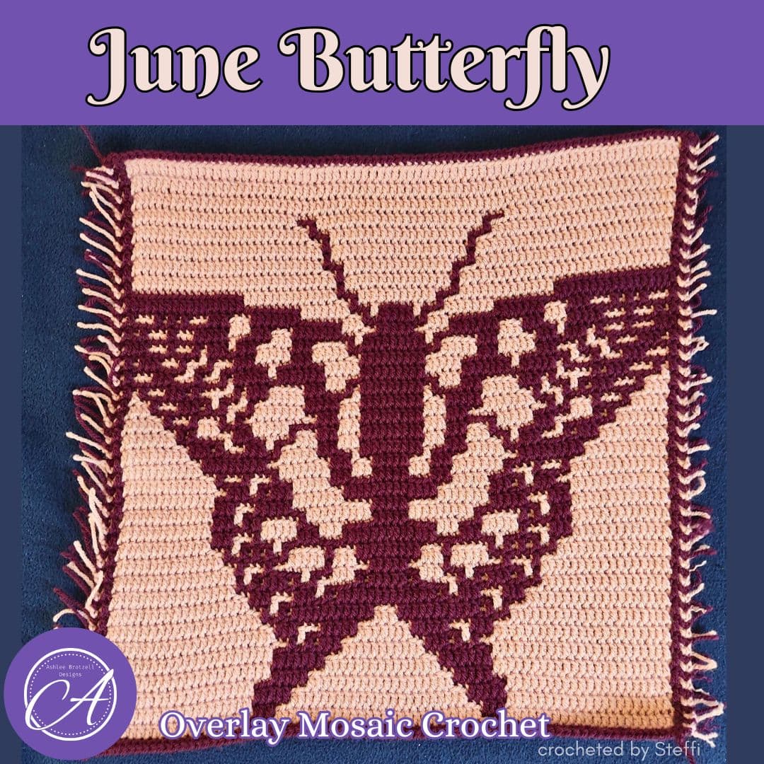 Ashlee Brotzell Designs releases June Butterfly square for blanket series