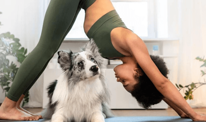 Puppy yoga at ASPNR meeting raises funds for pediatric research